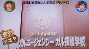 日本テレビ「ニノさん」